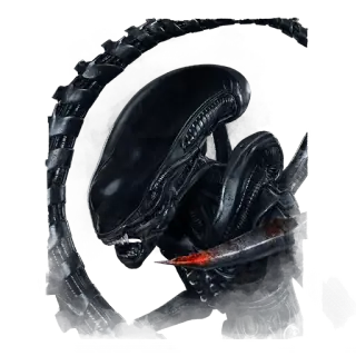 The Xenomorph